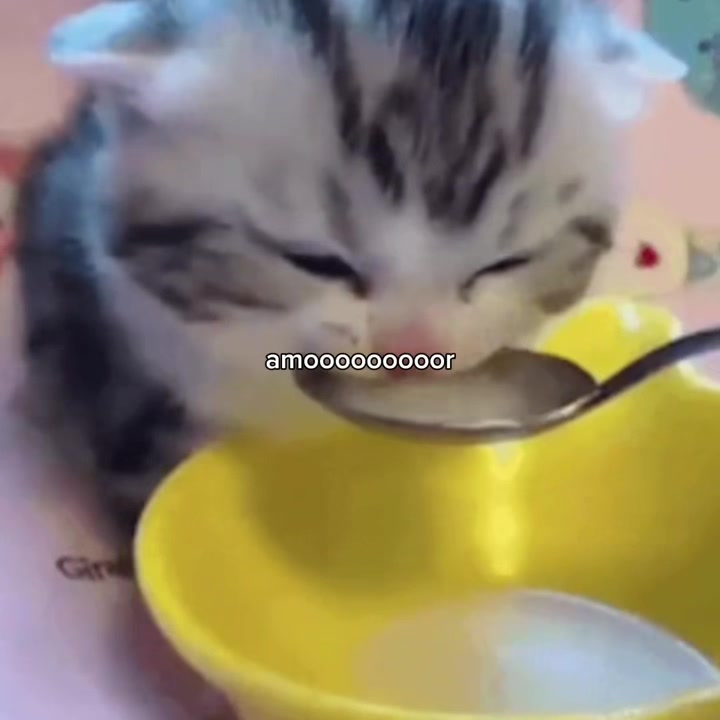 @𝒪𝓳𝓮𝓭𝓪𝓻𝓲𝓸
