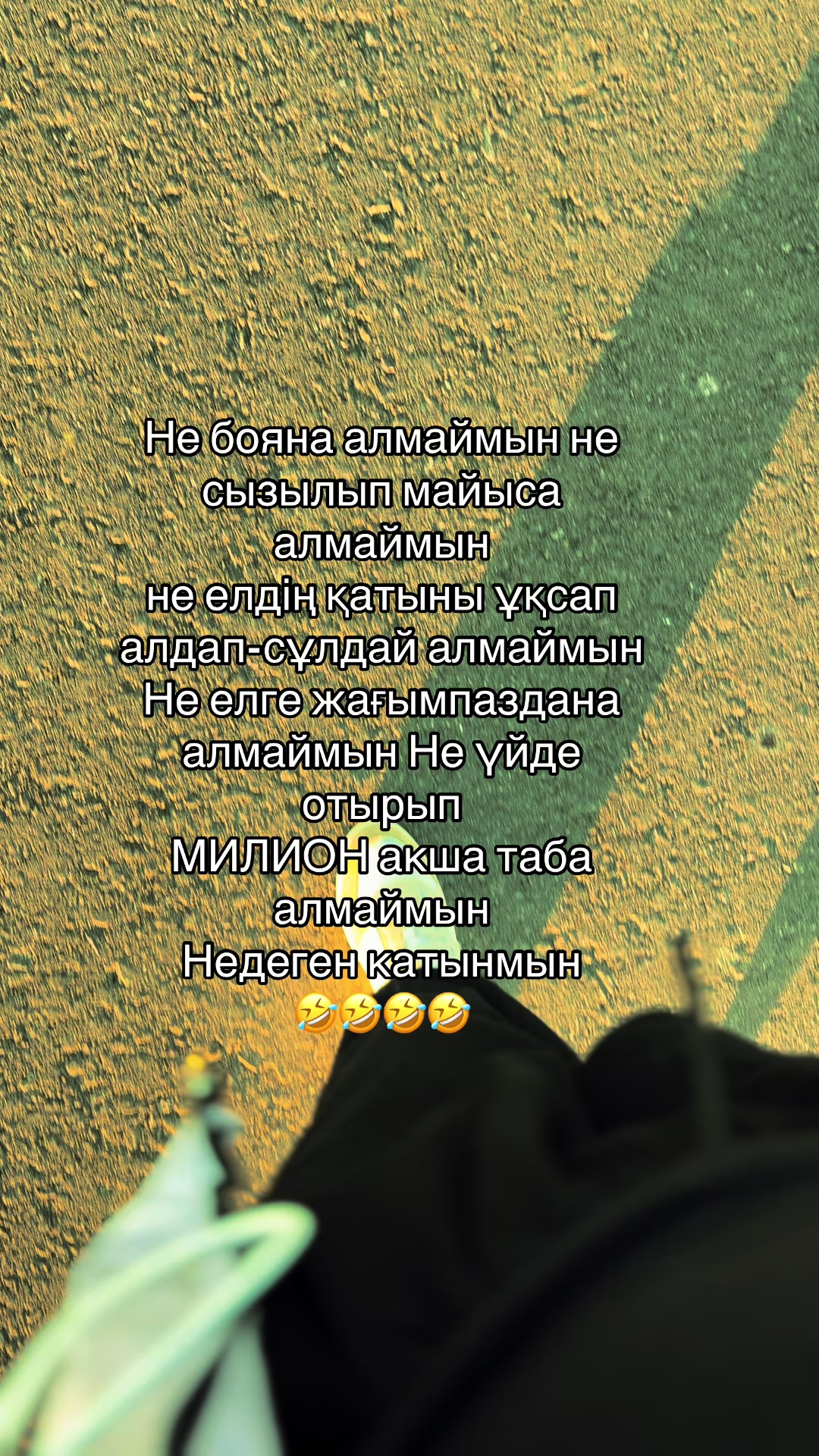 @༺🕊️ 𝓜𝓸𝓵𝓵𝓲 🕊️༻
