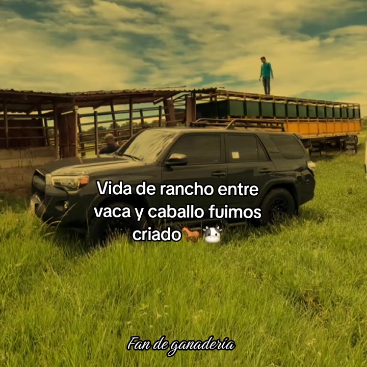 @ganader&iacute;a🐮 y caballo🐴☠️