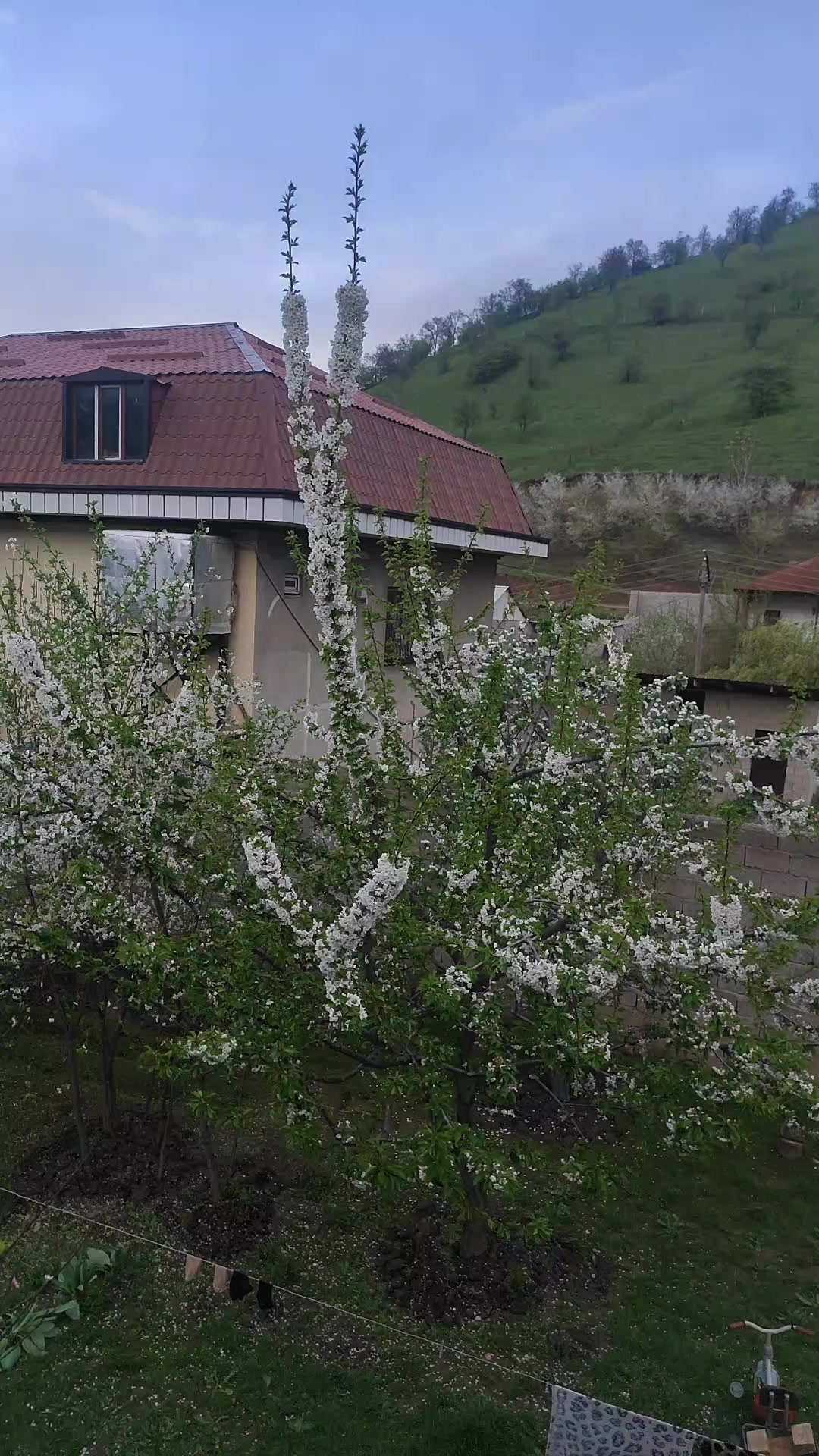 @nozanin050