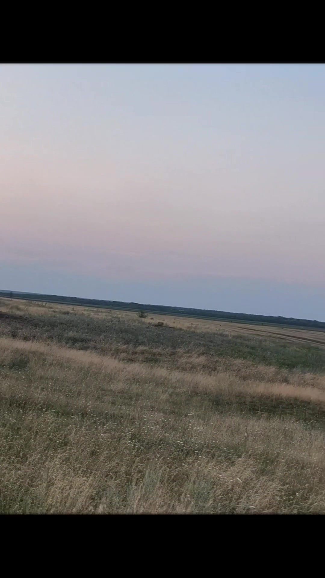 @olyuliskina