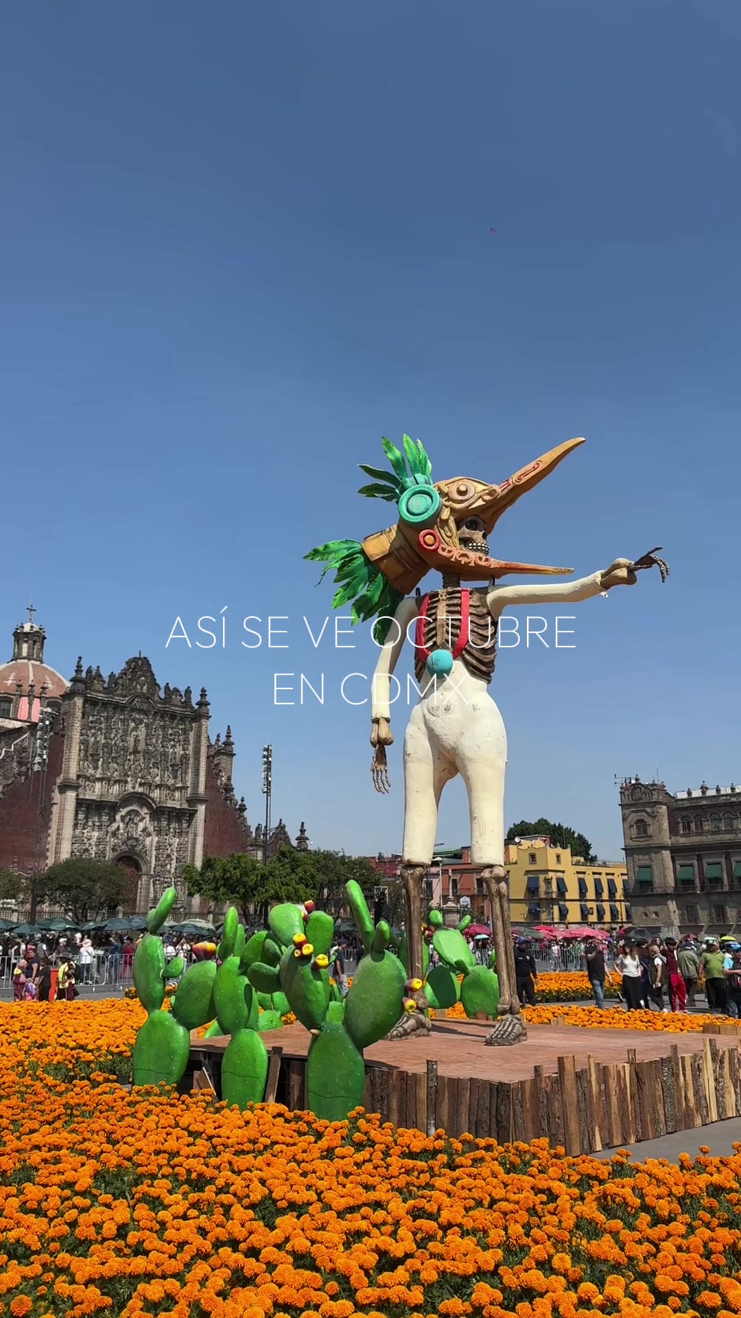 @Edwin Rosales 🇲🇽