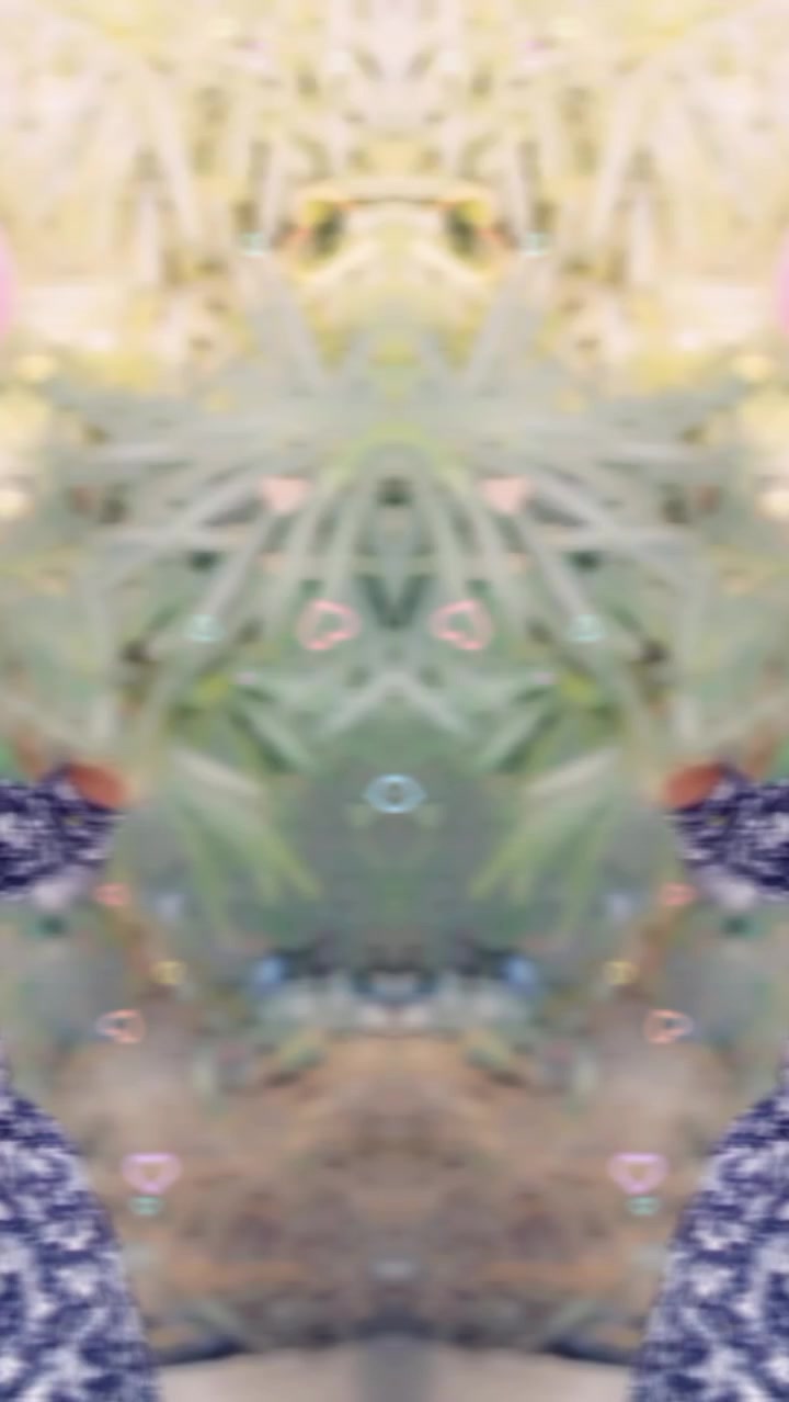 @💵أميرحسن