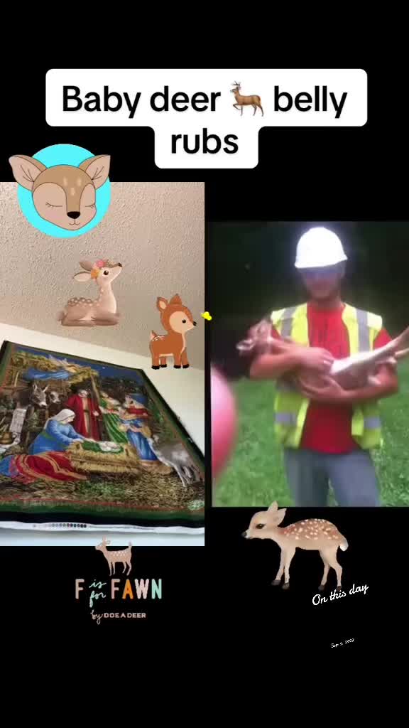 @guardian118D