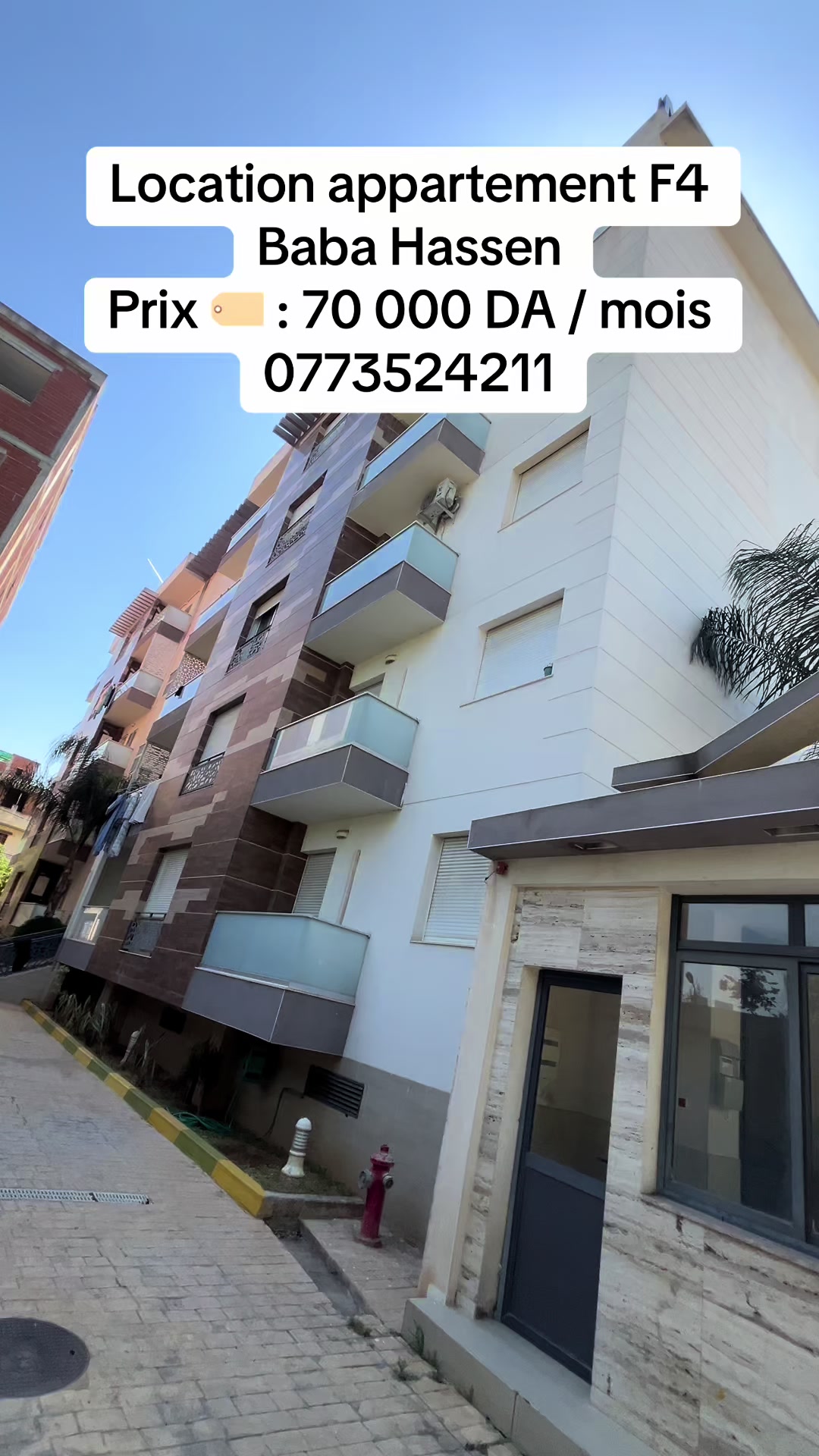 @Chahine immobilière