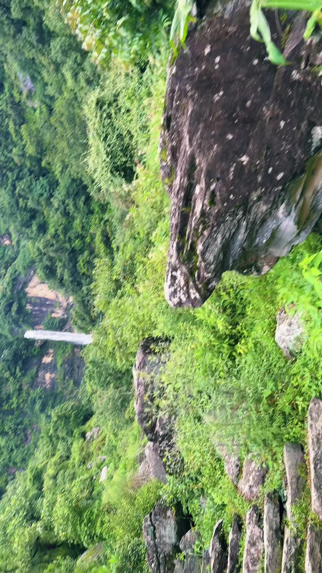 @राजु