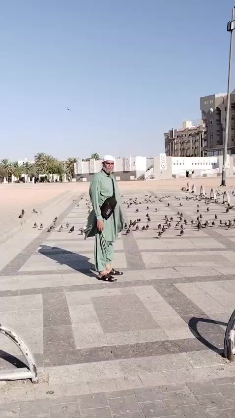 @Miss Arain🧑🏫