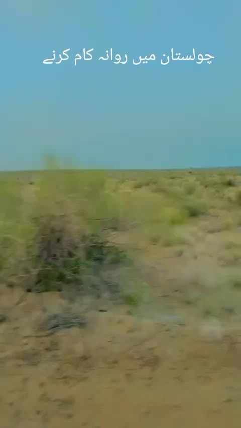@M  Afzal Solgi 83