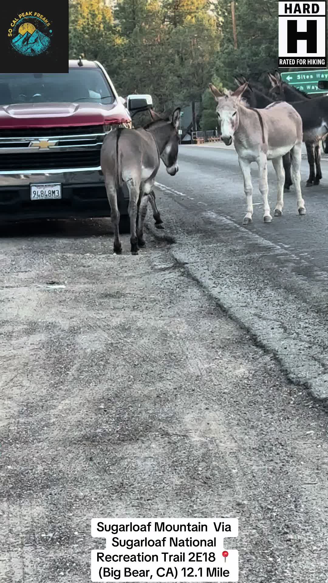 @SoCal Peak Freaks