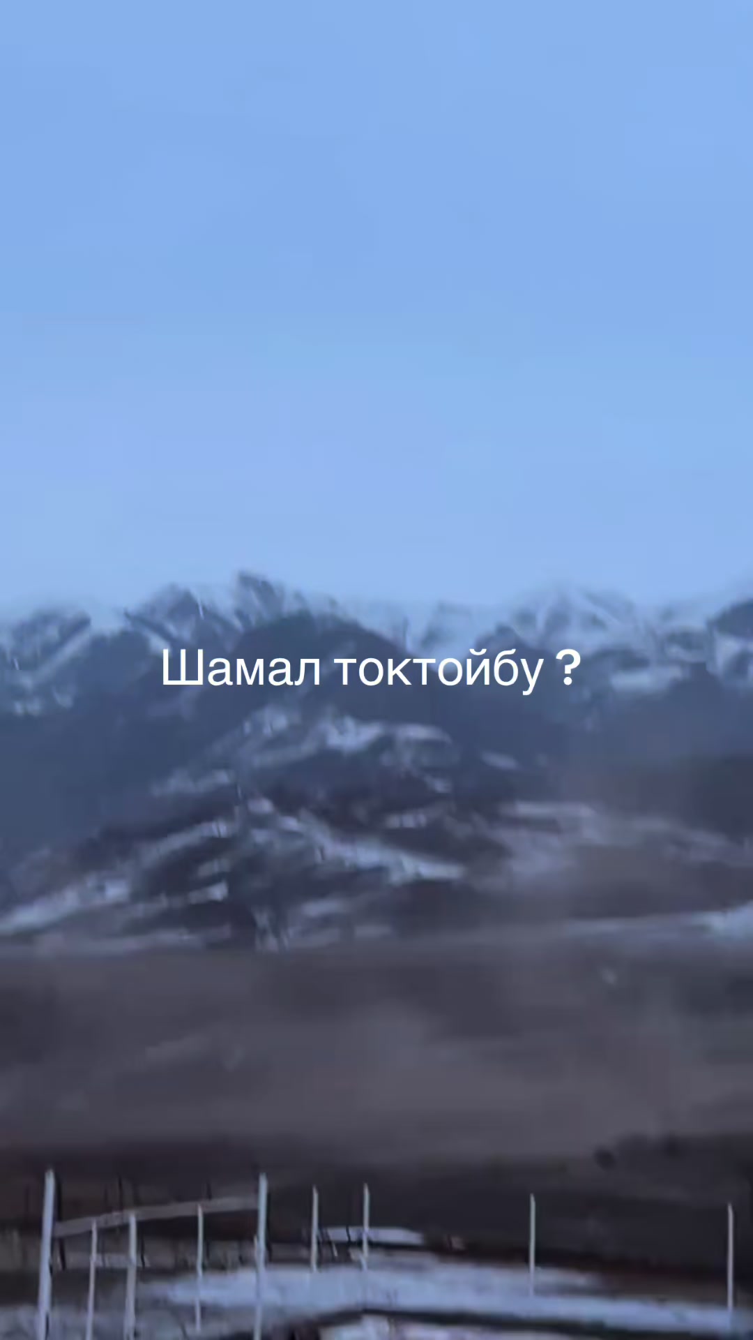 @Toktosunova