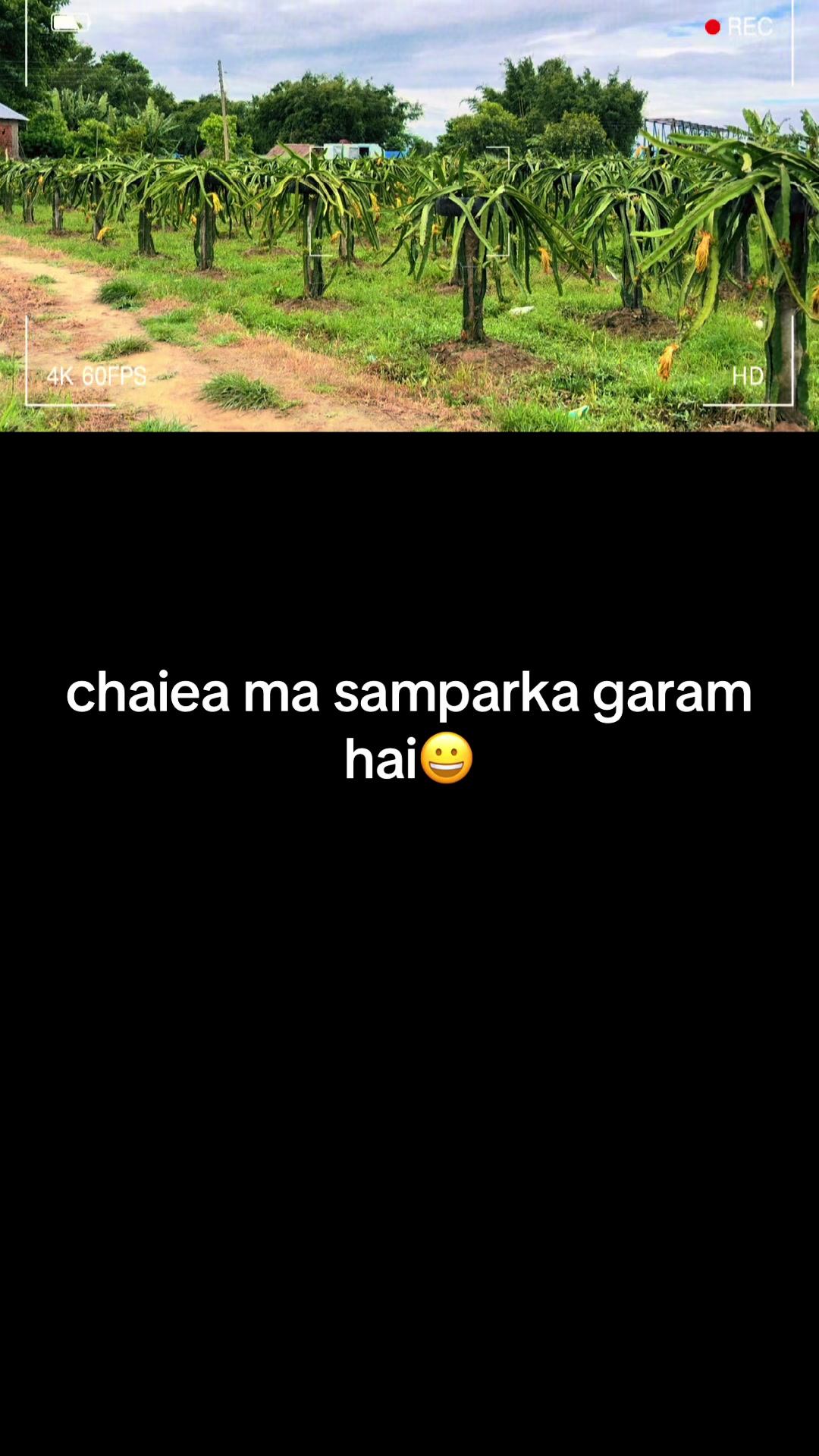 @indiraregmi