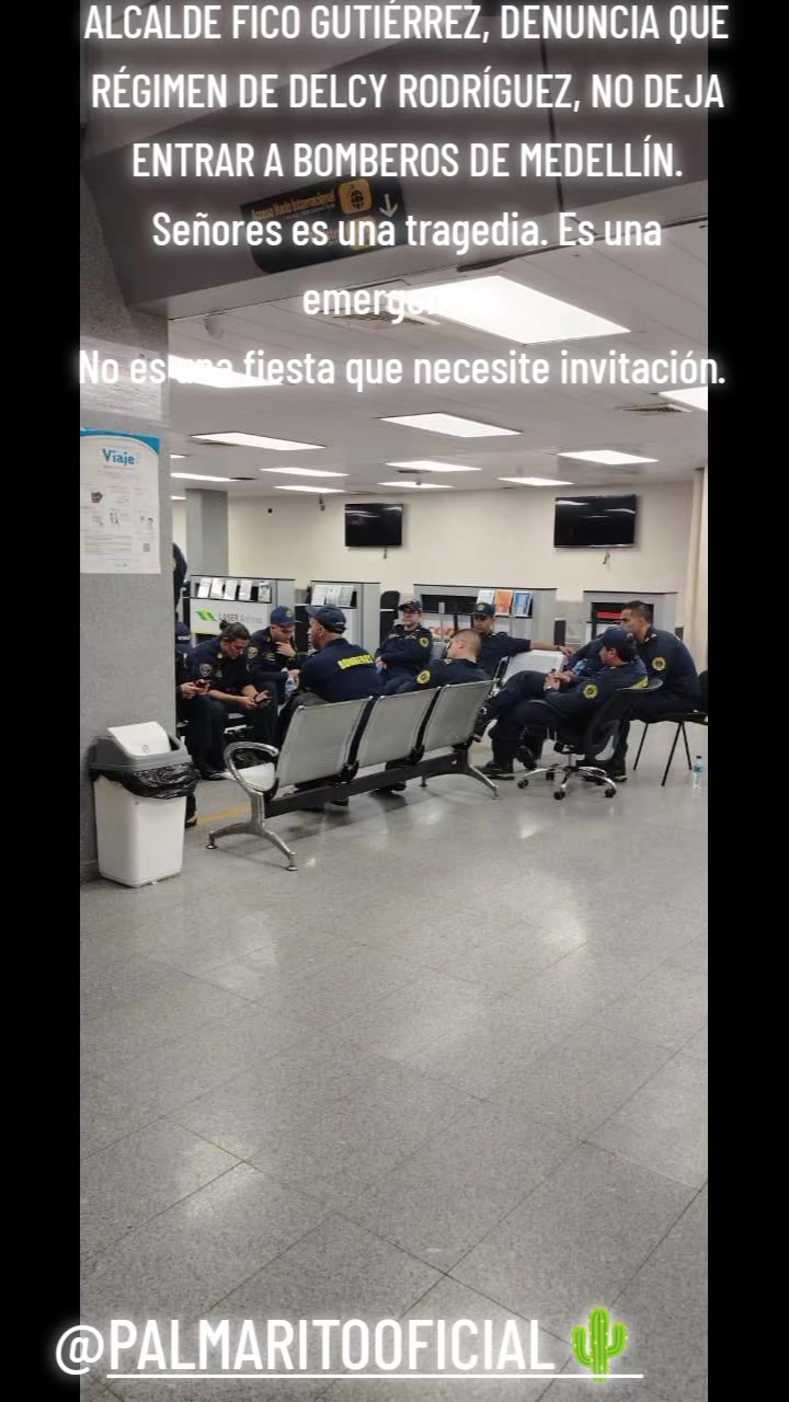 @PALMARITOOFICIAL 🌵