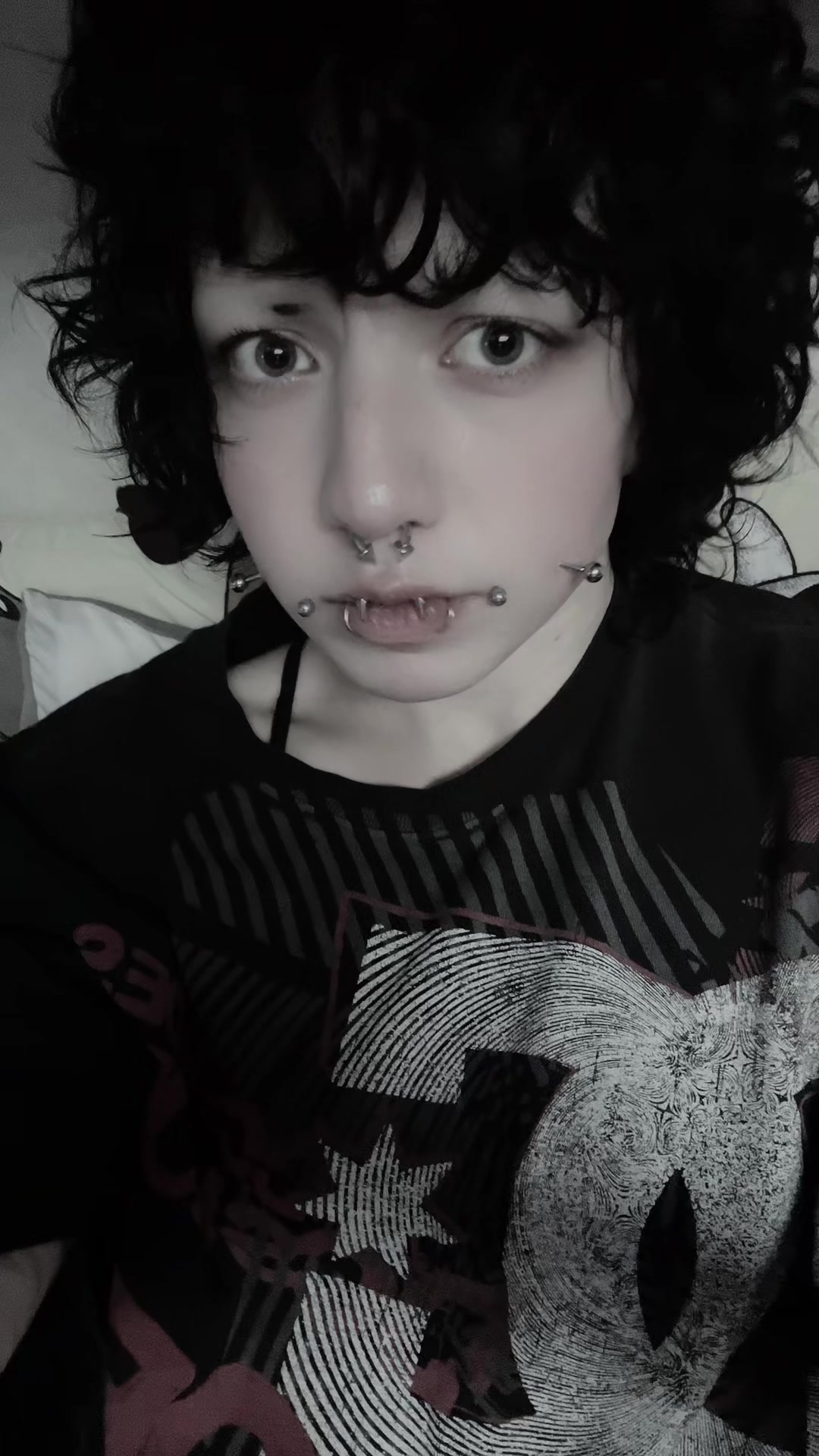 @dogferatu