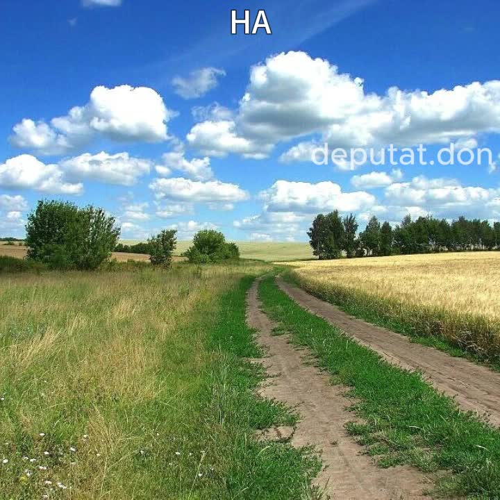@Депутат Дон