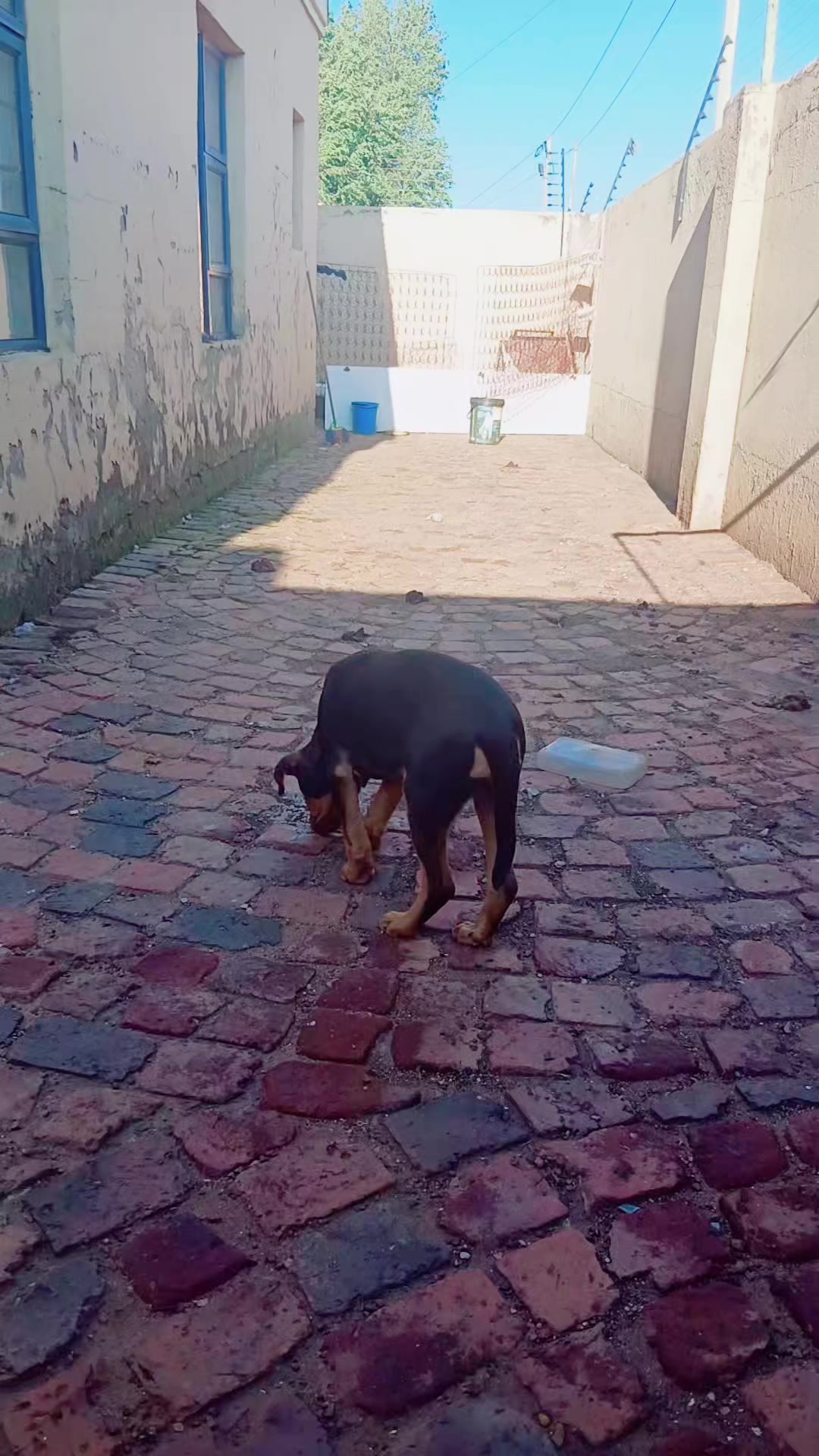 @QHUBINJA