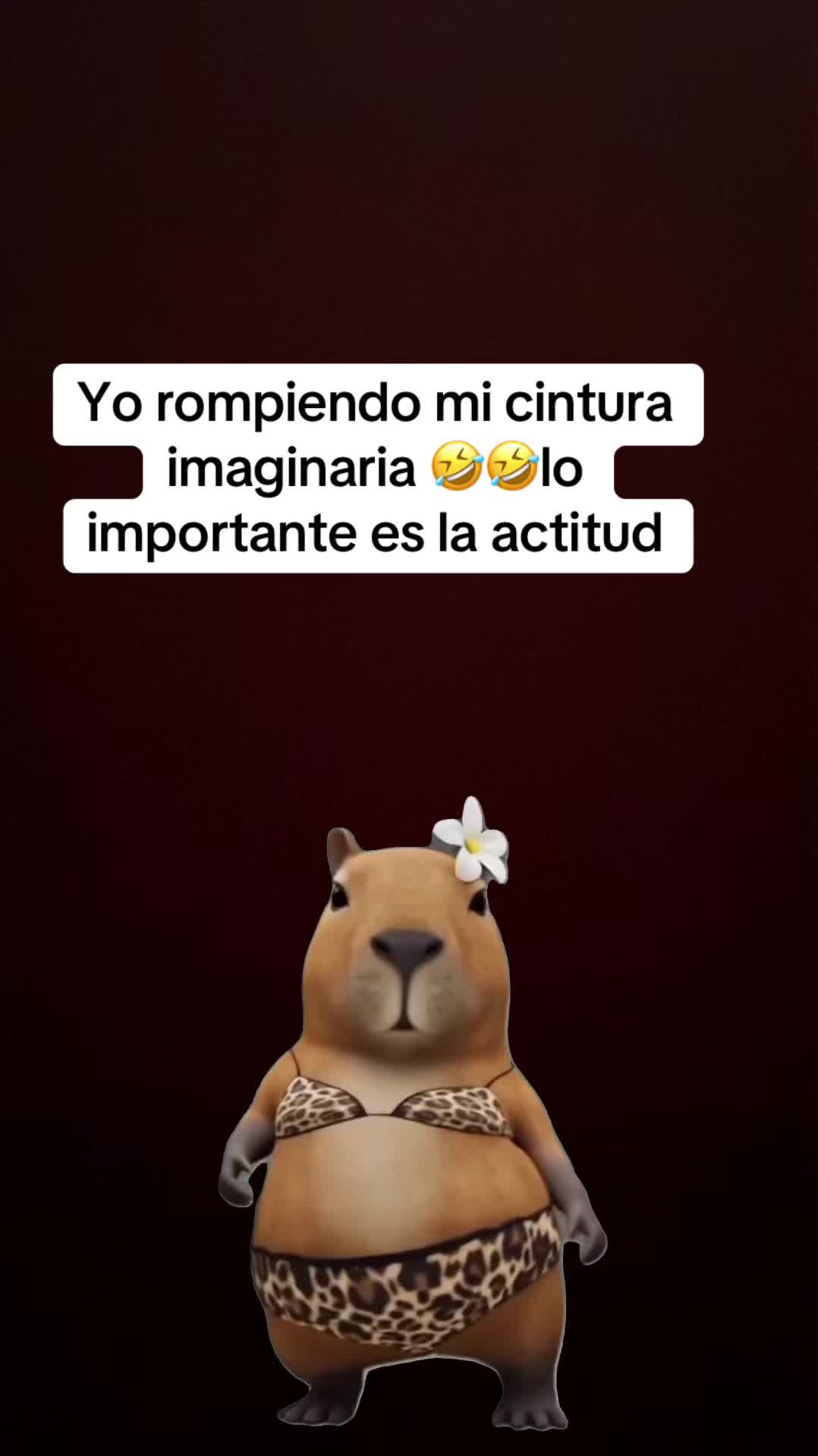 @Xioma