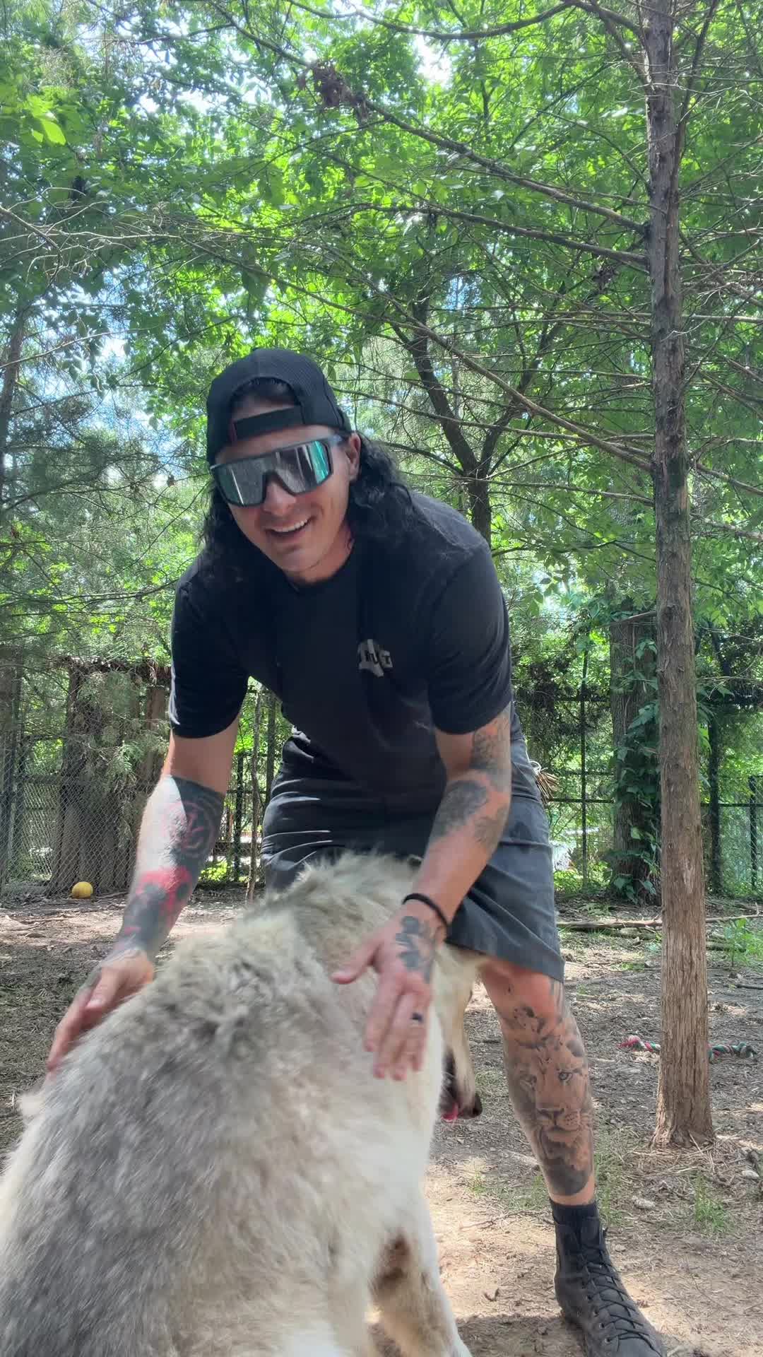 @Liondad87🦁