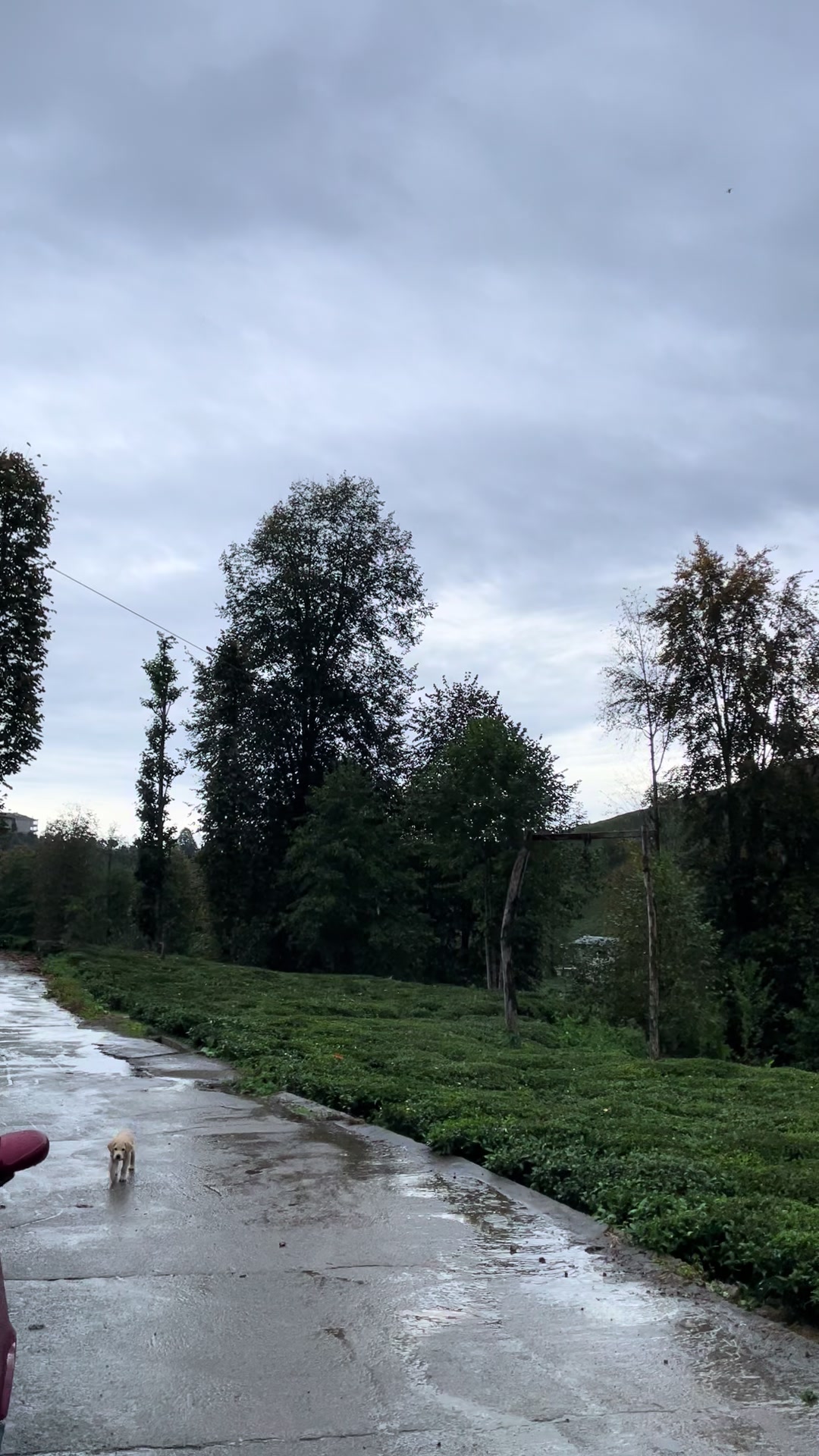 @ADEM NIŞANCI