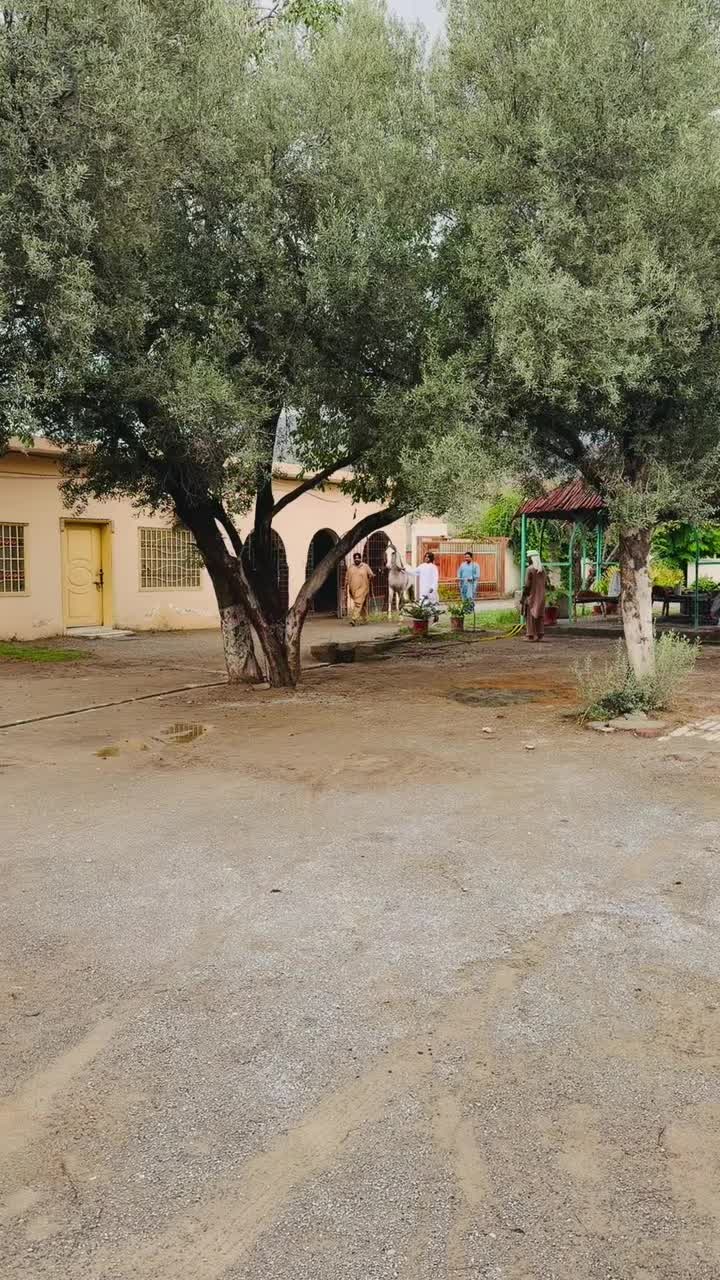 @zabitzamankhan786