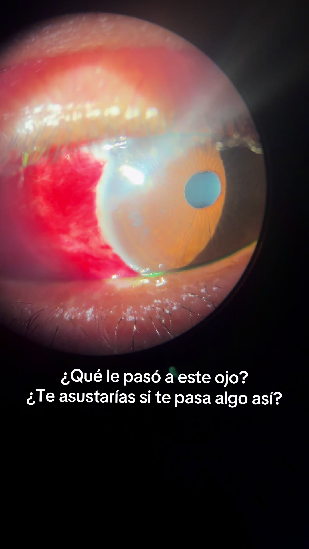 @Dra Majo D&iacute;az Oftalm&oacute;loga