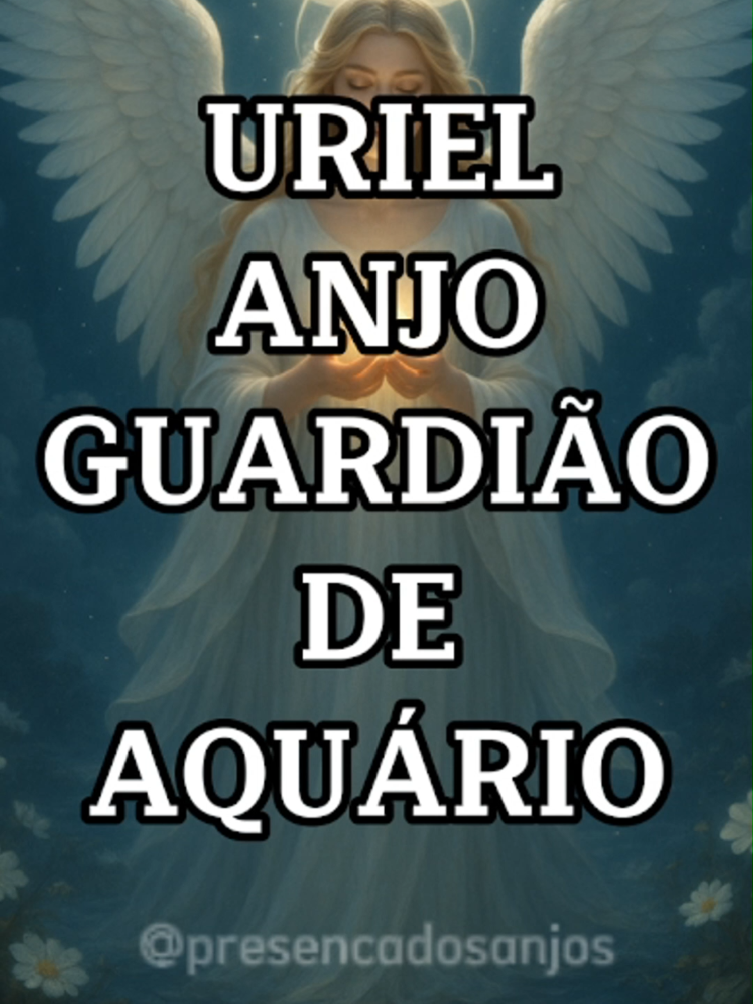 @Presen&ccedil;a dos Anjos