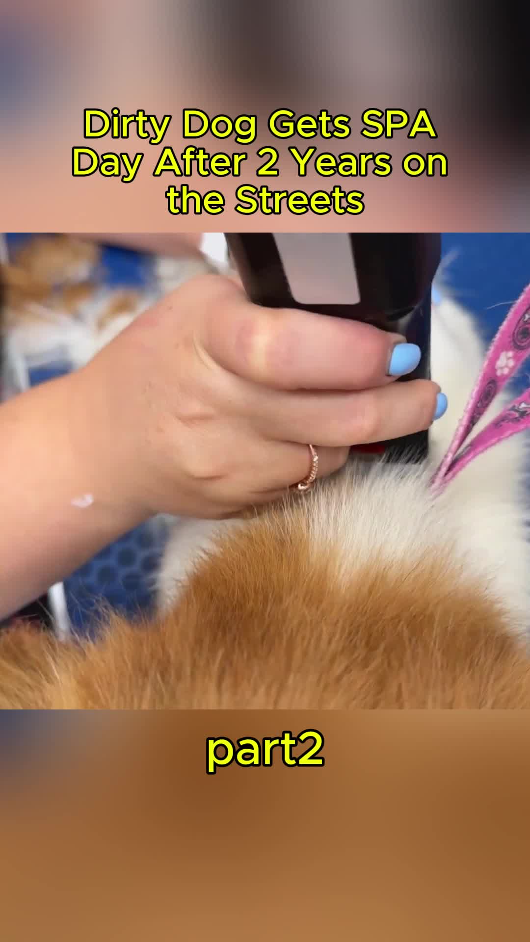 @uxifnfsiyyn
