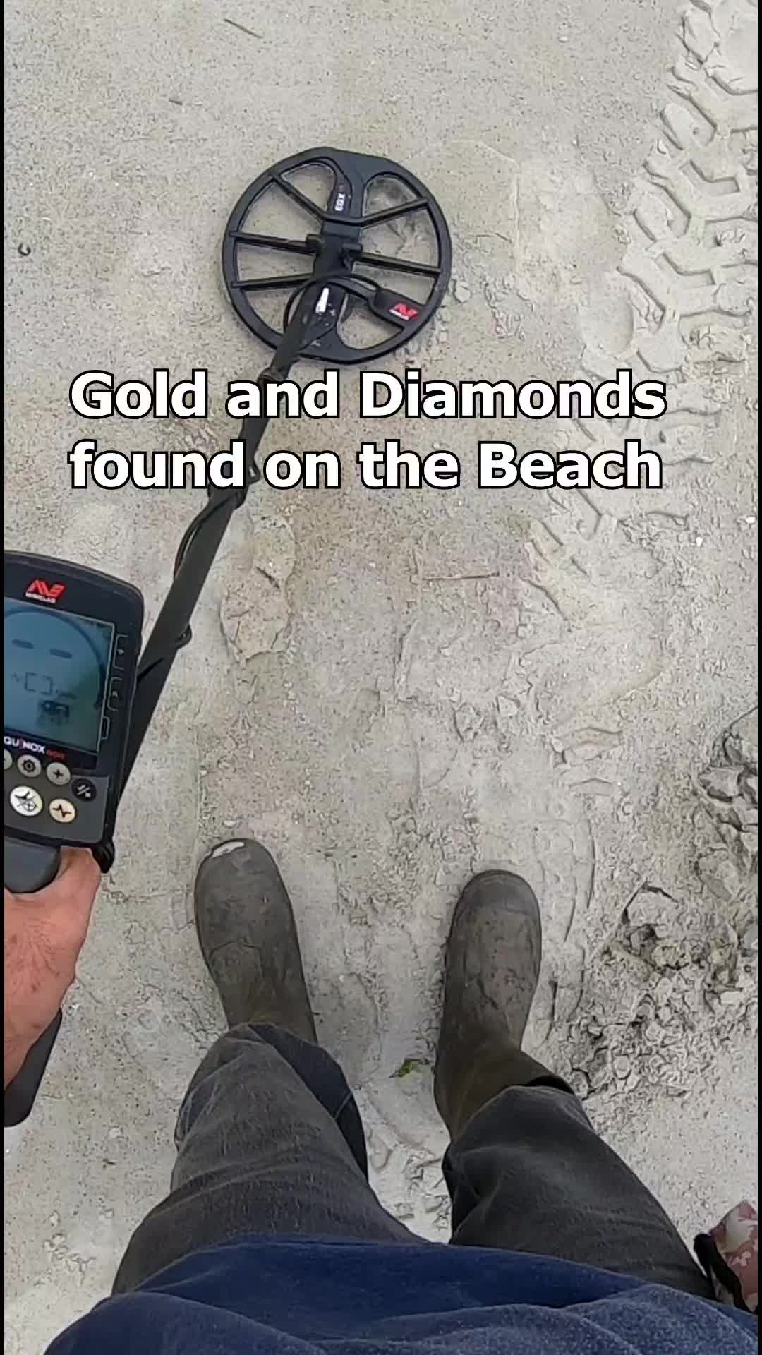 @detectormoe
