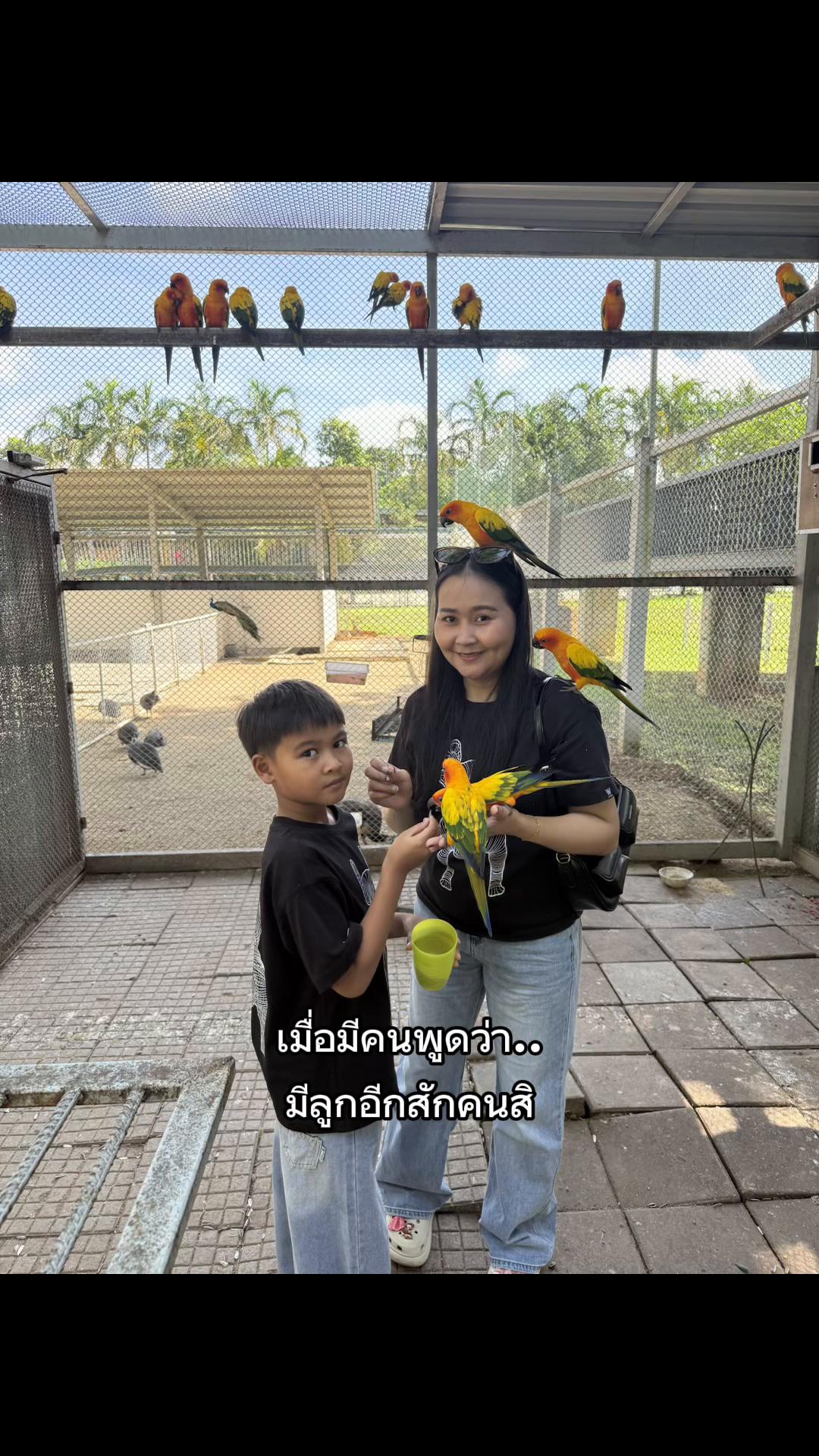 @Praewแพรว
