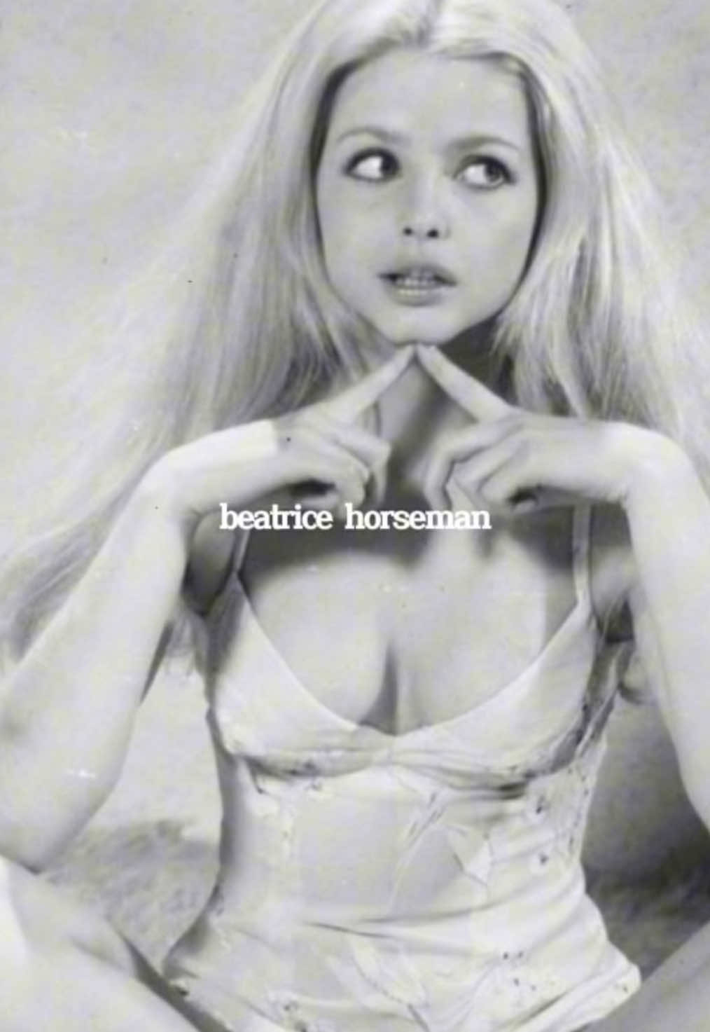 @🐇