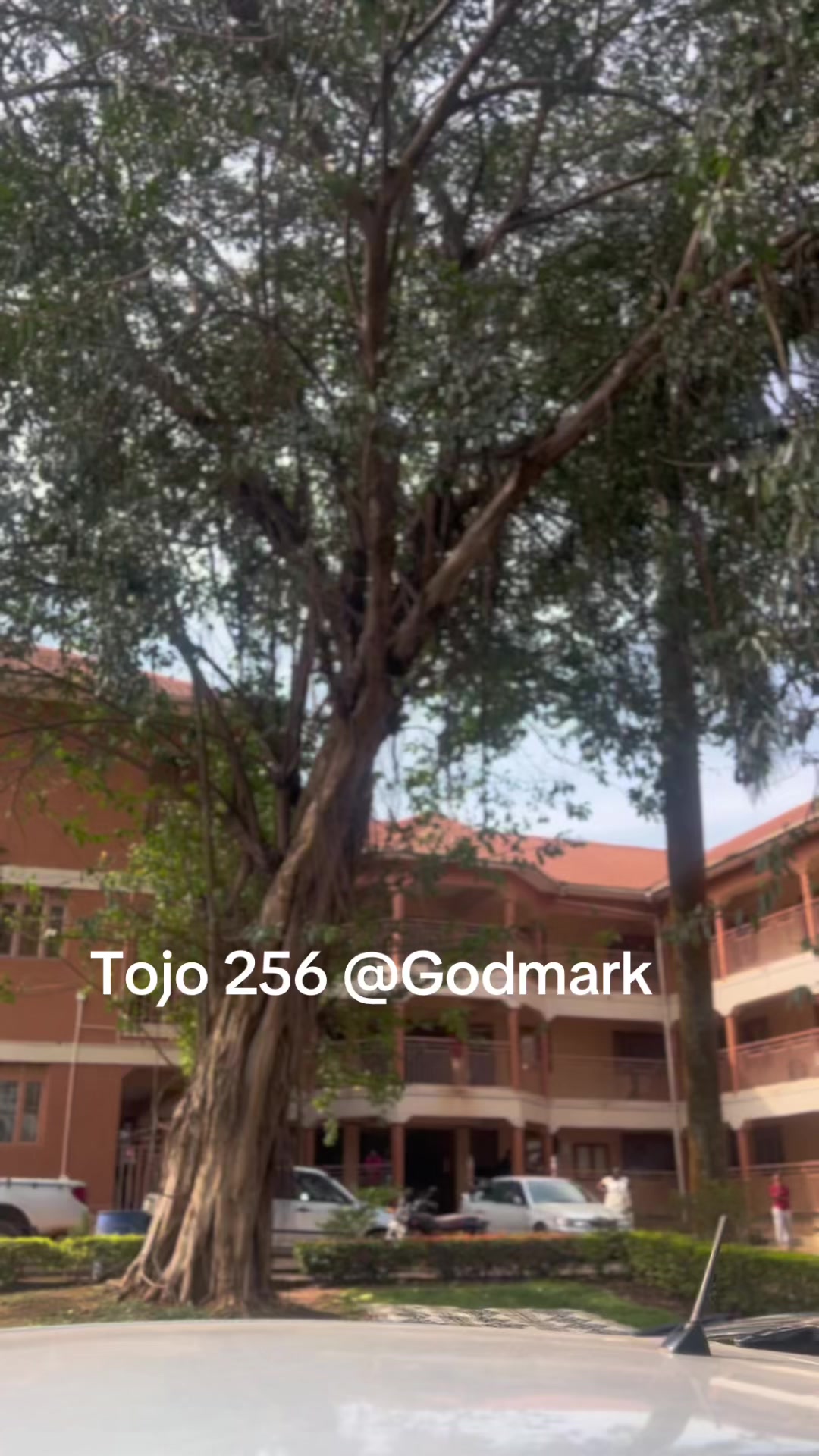 @godmark_high_school