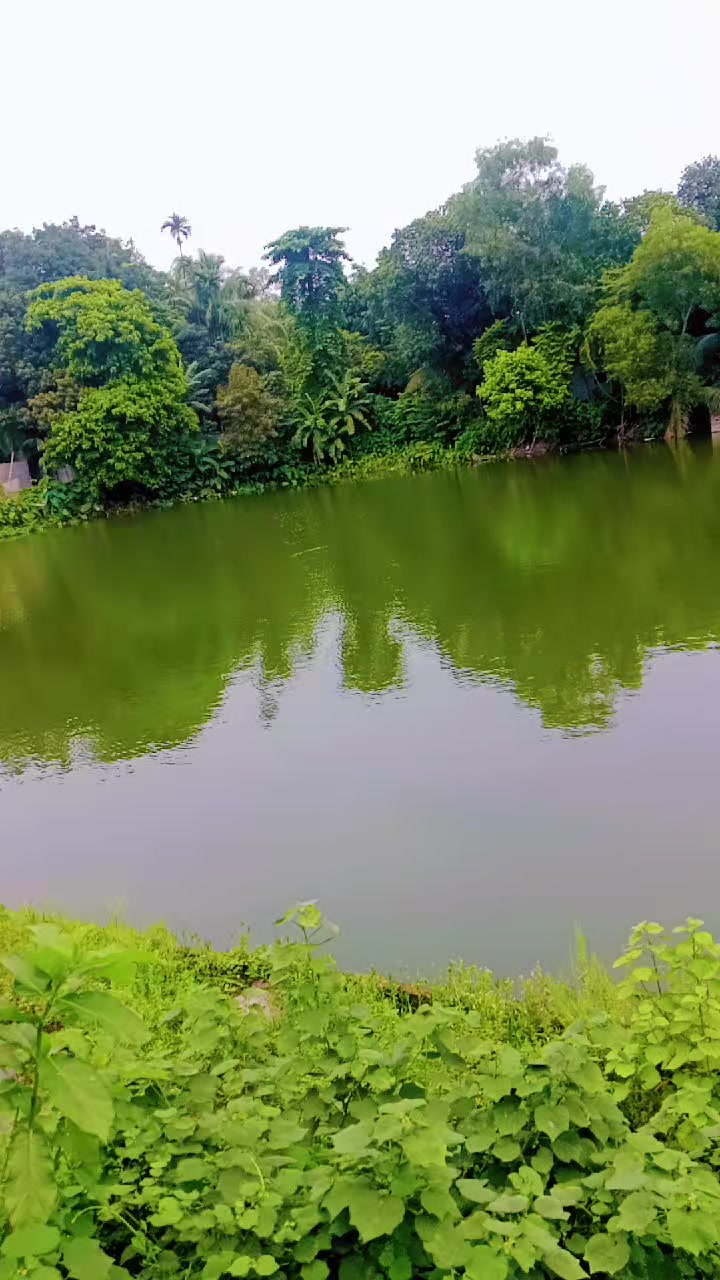 @Alisha Islam humayra😍🥰