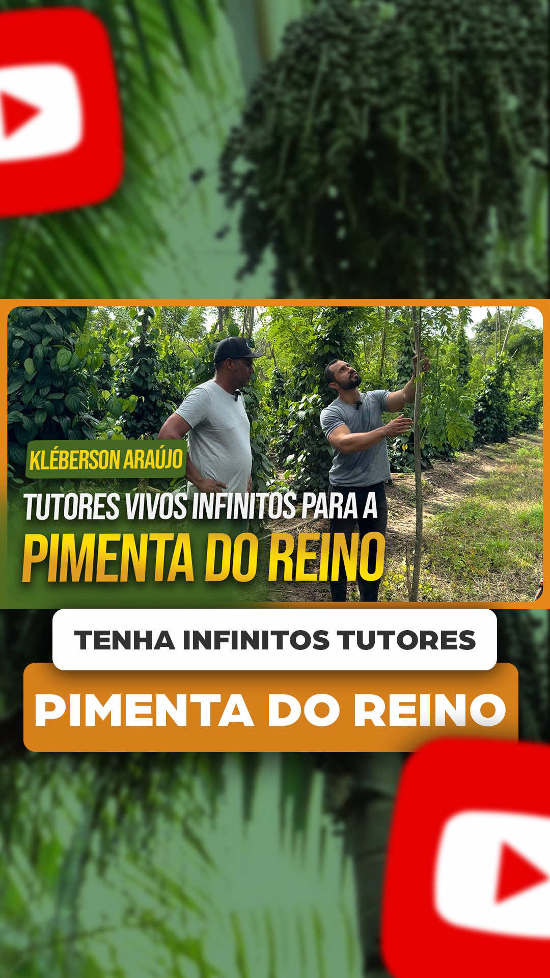 @ViveiroProMudas
