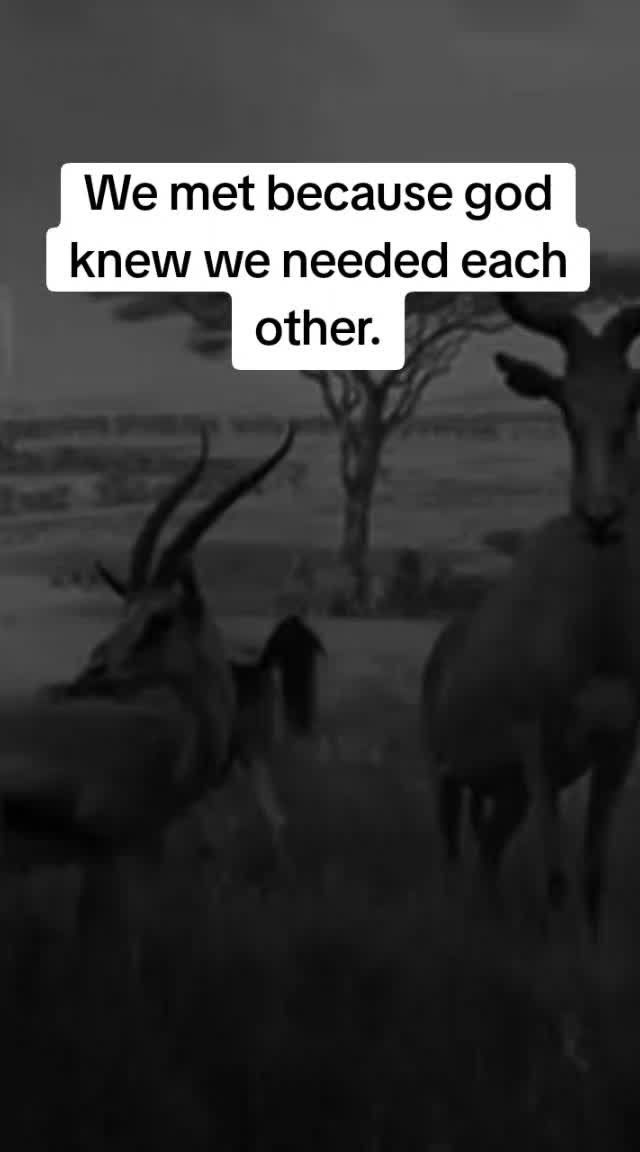 @Teny Brook
