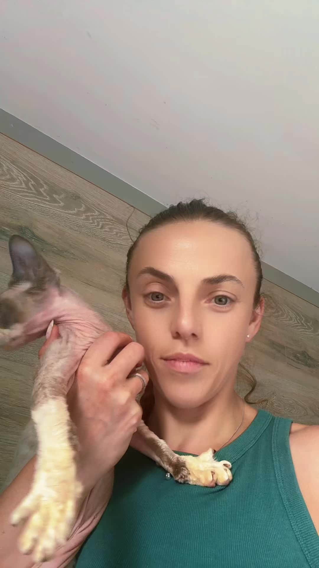 @Curlslux cattery!!🇺🇸