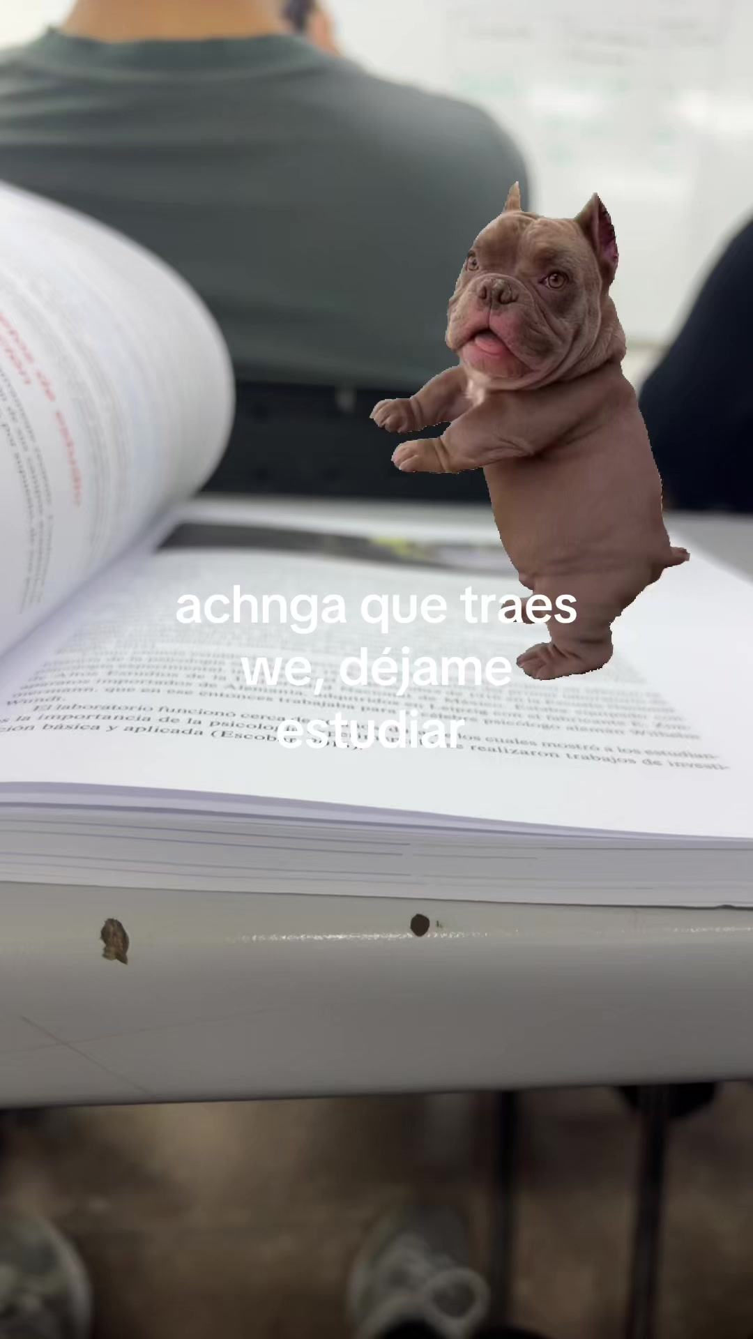 @The Arquis