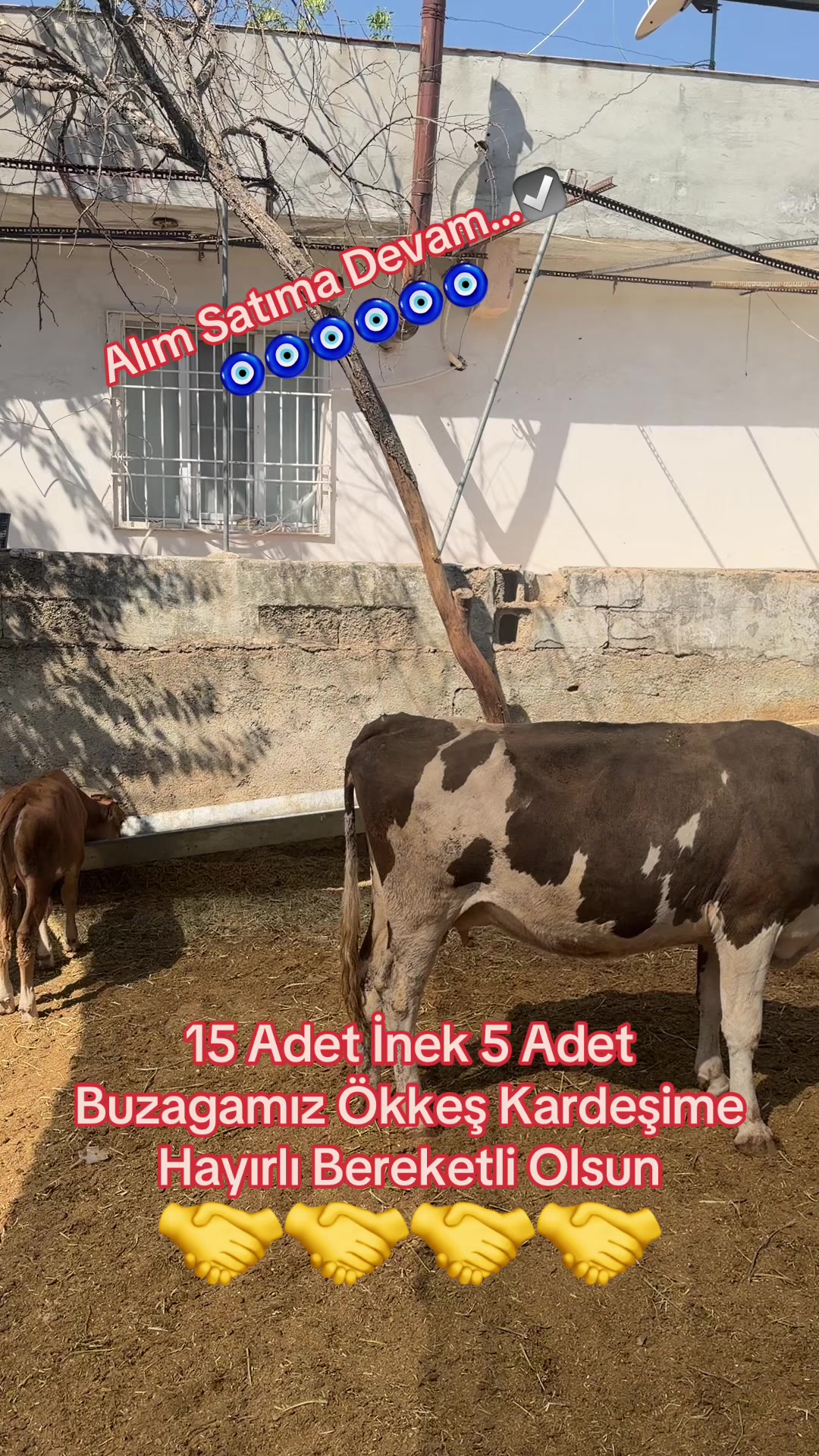 @Cemil Tekkanat