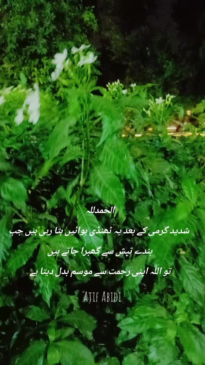 @M Muslim
