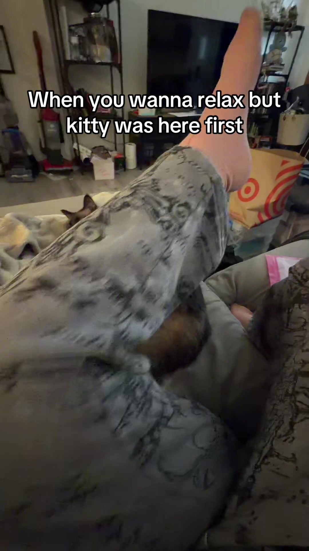 @maowmaowwwww