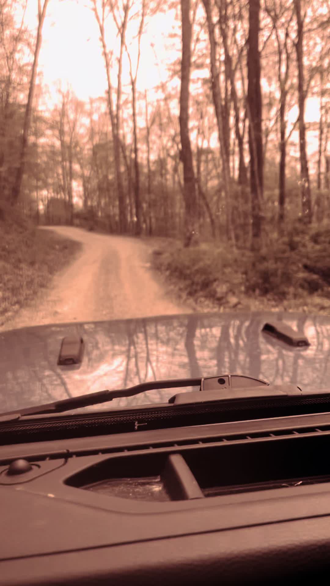 @🖤jeepgrandma🖤