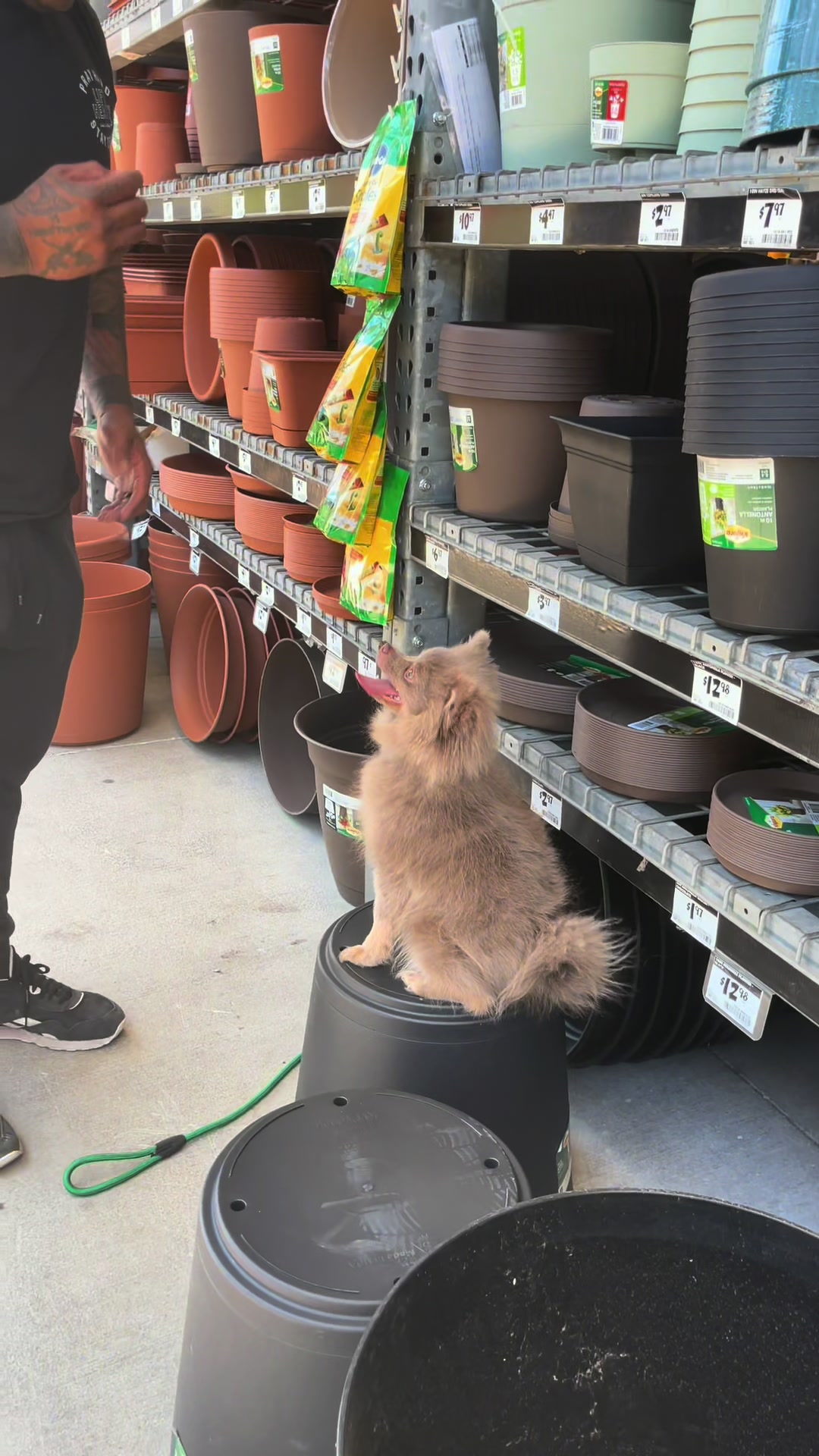 @Tactical K9s Dog Training