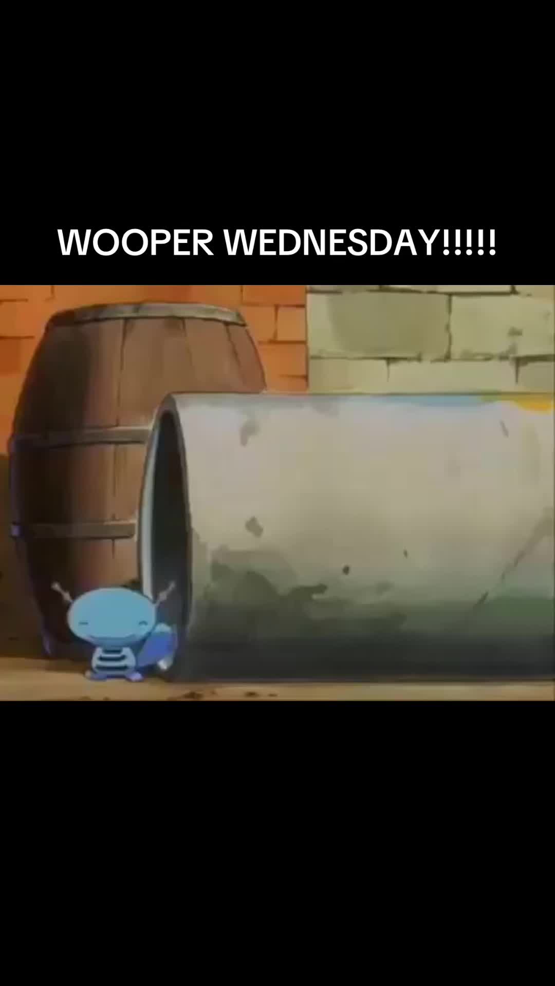 @Woopers Biggest Fan