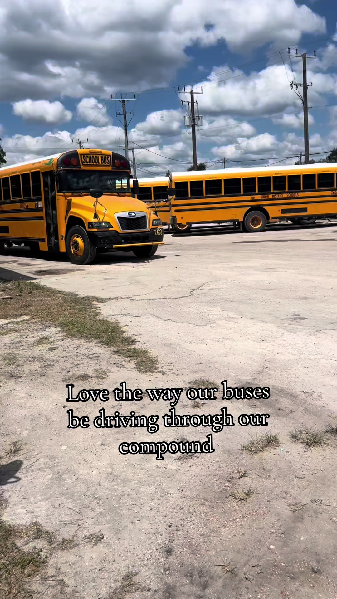 @Ucsd Buses