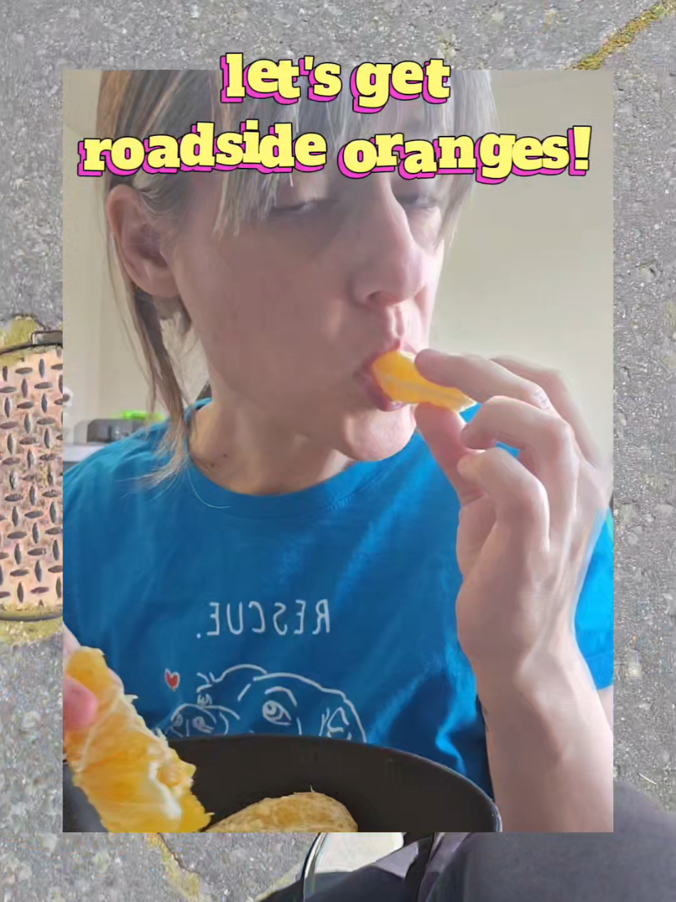 @perpetuallyangrycactai