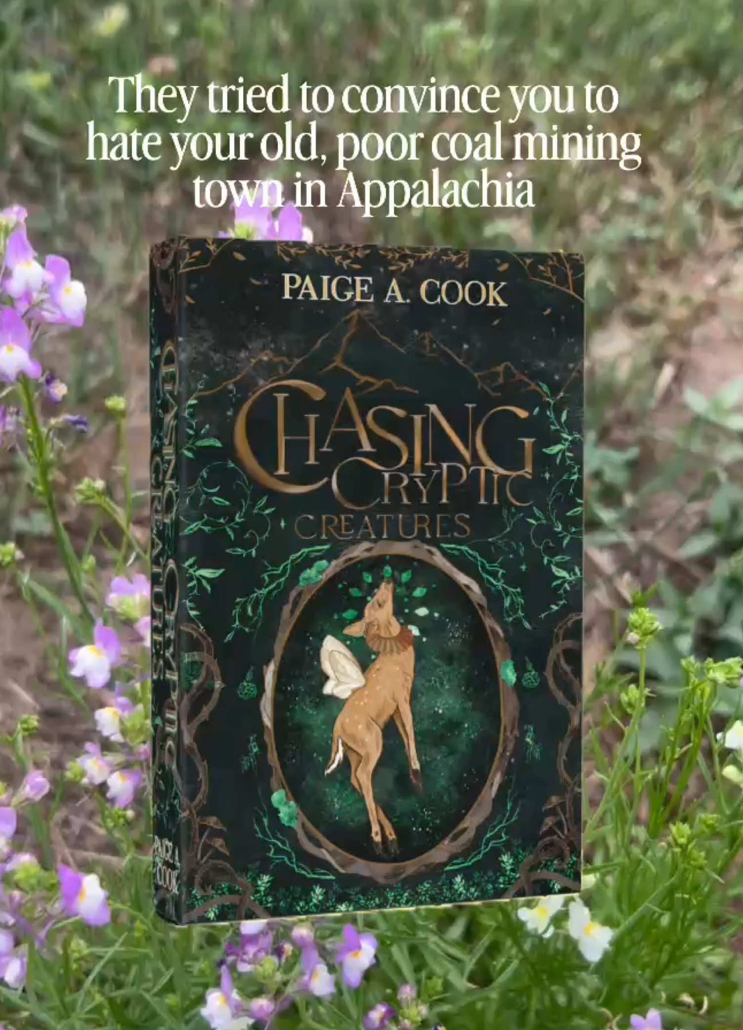 @Author Paige A. Cook