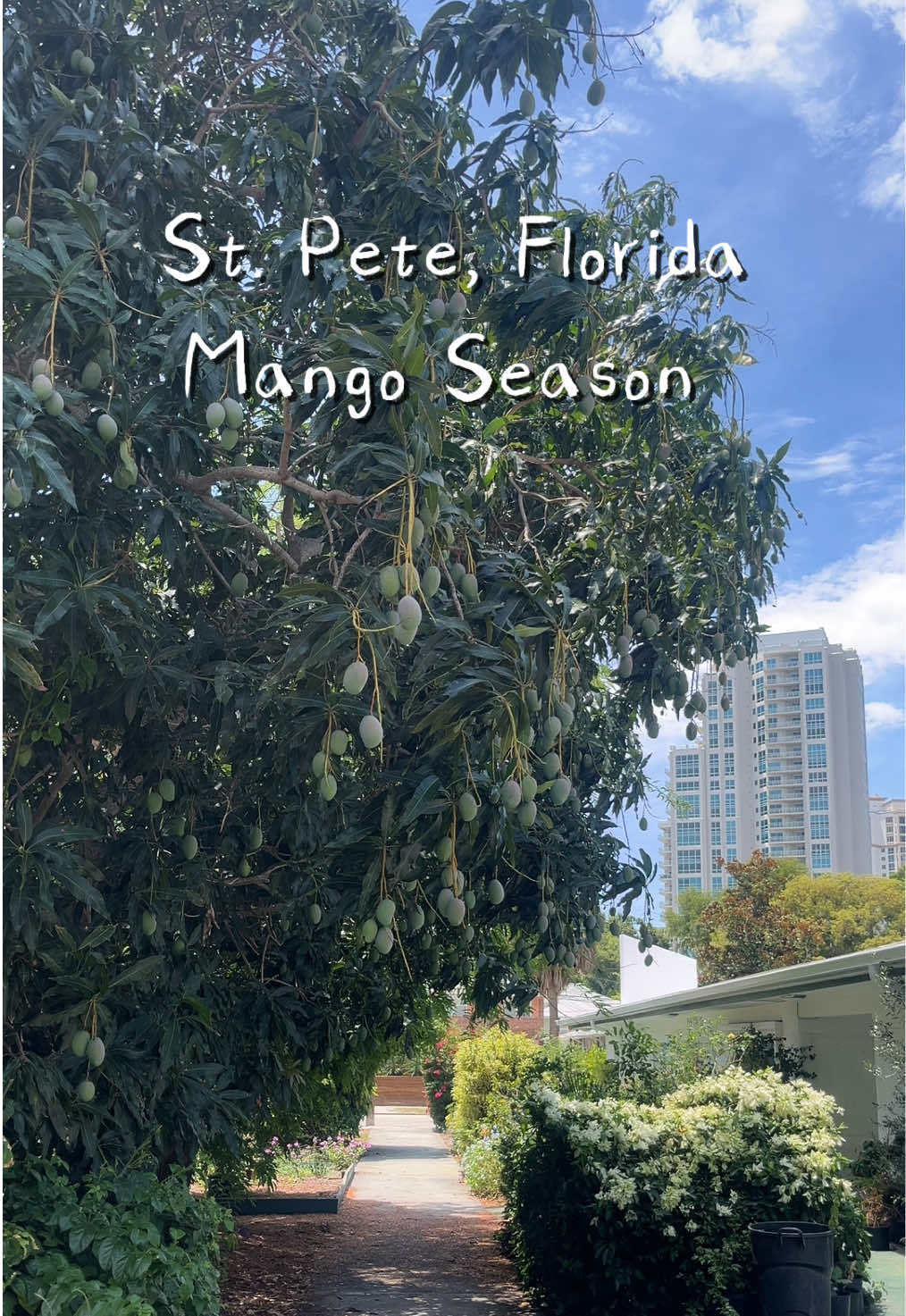 @St Pete Barter & Trade