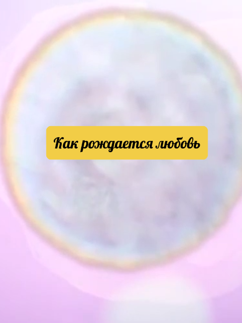 @dobromir