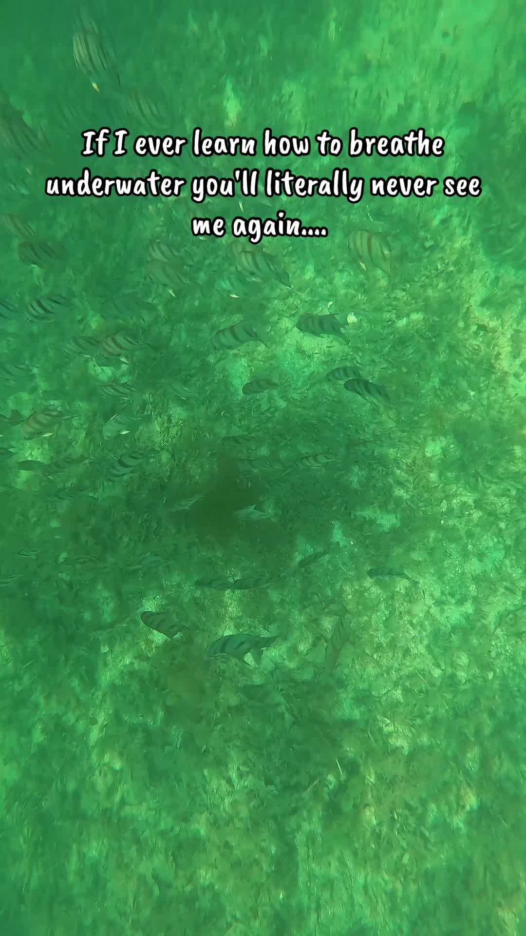 @KEᑎᗪᖇᗩᗩ