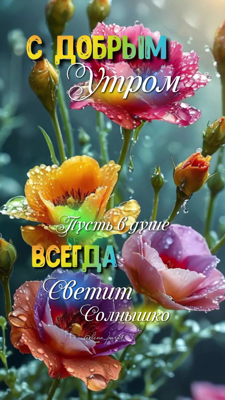@ВидеоПОЗОР🙈😅