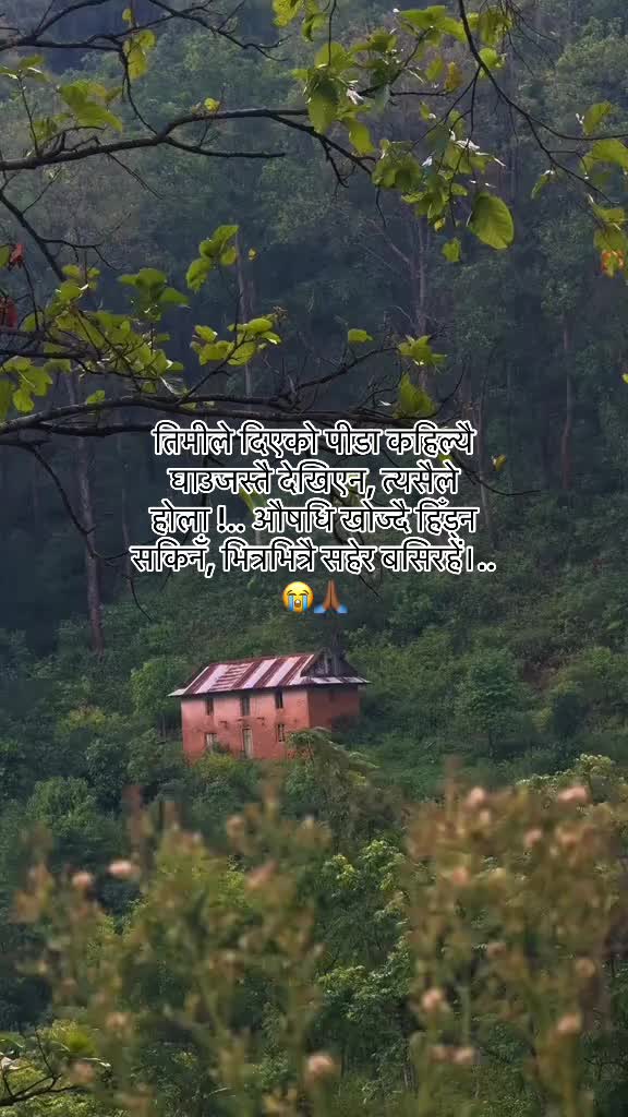 @मनछुनेलाईनहरू🥺