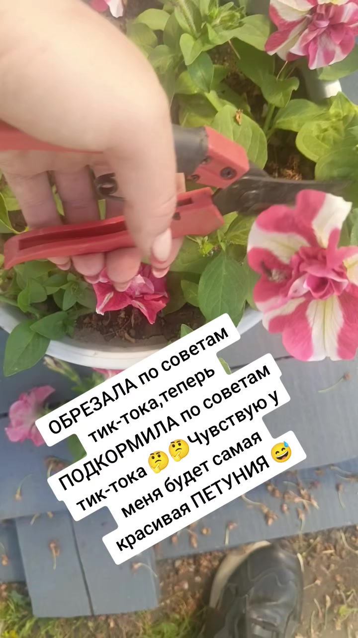 @Оленька